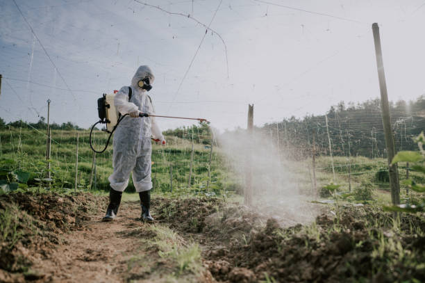 Best Local Pest Control Services  in St Helens, OR
