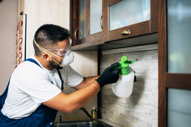 Best Affordable Pest Control Services  in St Helens, OR
