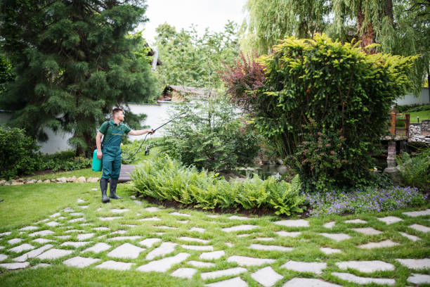 Best Ant Control Services  in St Helens, OR