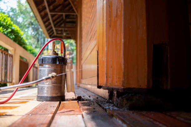 Best Pest Prevention Services  in St Helens, OR