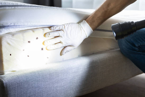 Best Residential Pest Control  in St Helens, OR