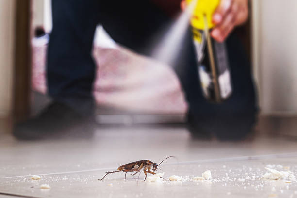Best Flea Control Services  in St Helens, OR