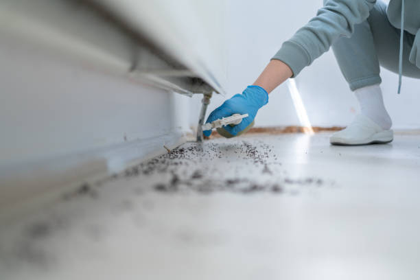 Best Mosquito Control Services  in St Helens, OR